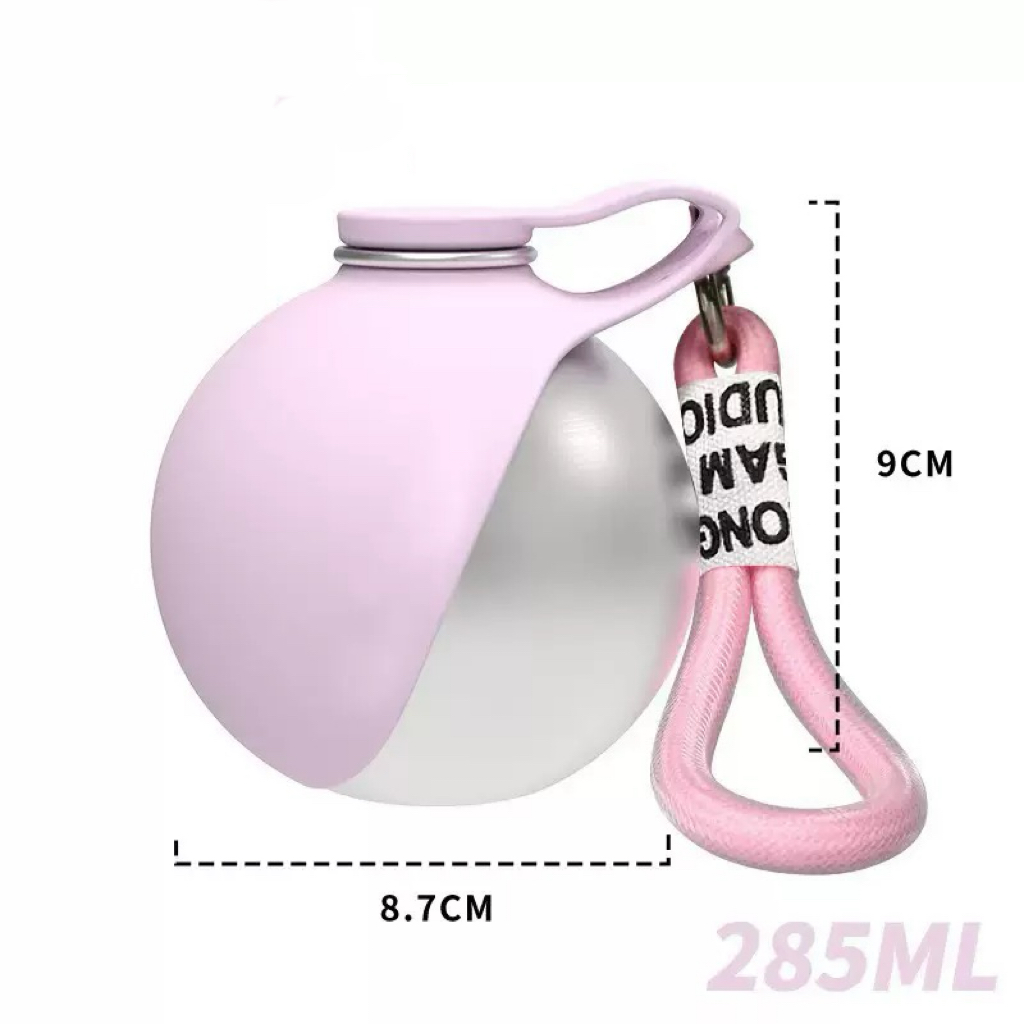 Stainless Steel Pet Water Bottle